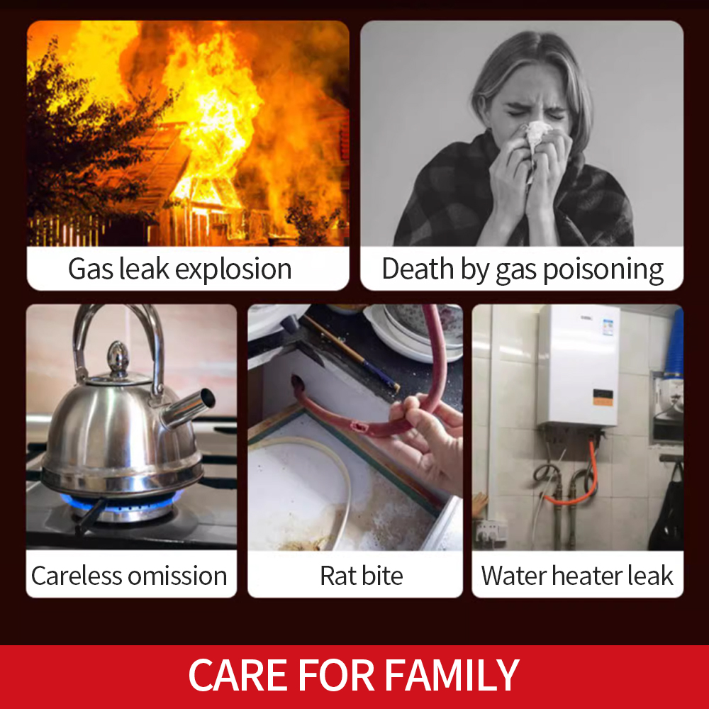 Combustible Gas Alarm Sensor G - Home Security Kitchener ulasan dan harga